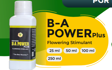 B A POWER